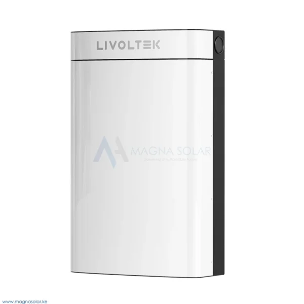 Livoltek 5kWh 51V 100Ah Li-ion Solar Battery - BLF51-5R31001 - magnasolar.ke
